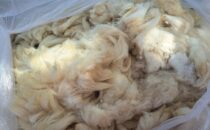 Alpaca Fiber - Untreated