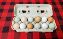 Pasture-Raised Eggs