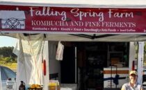 Kombucha and Fine Ferments