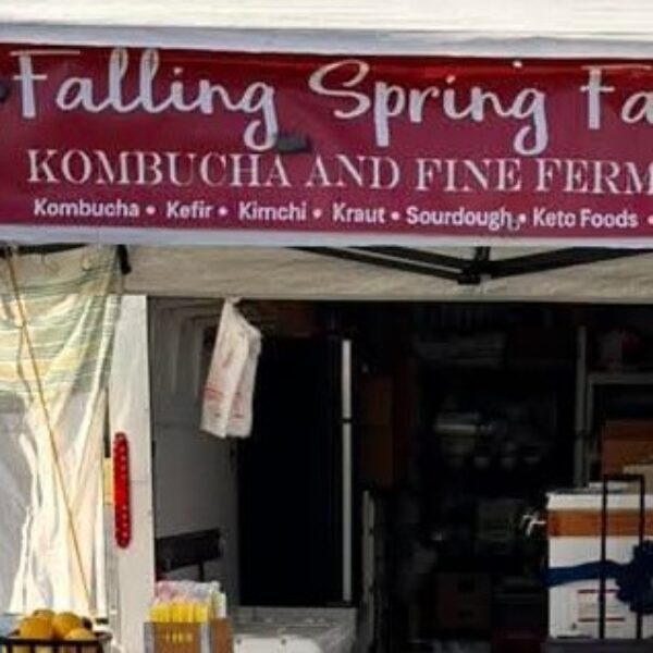 Kombucha and Fine Ferments