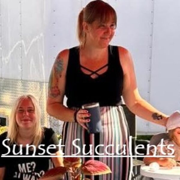 Succulent Plants & Soap Products